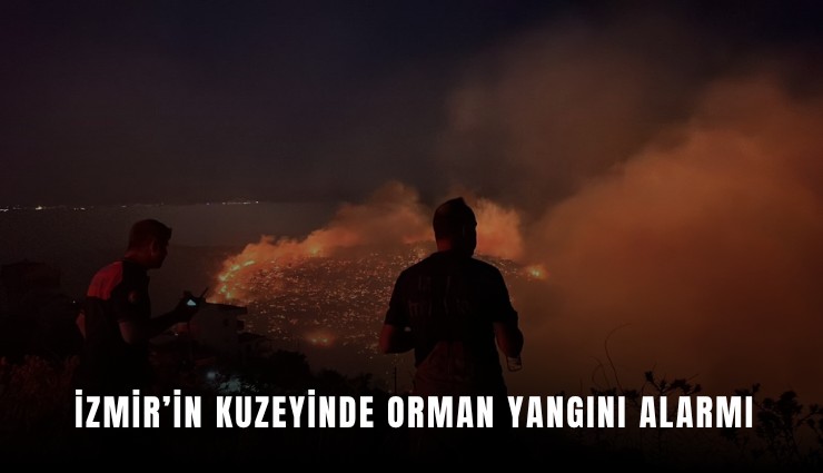 İzmir’in kuzeyinde orman yangını alarmı