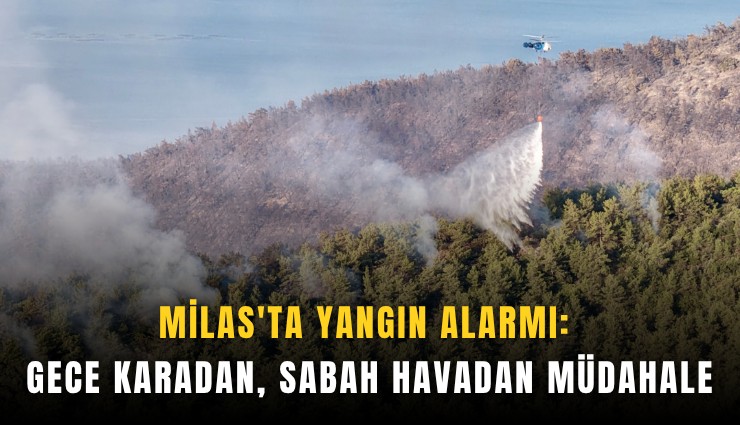 Milas'ta yangın alarmı: Gece karadan, sabah havadan müdahale