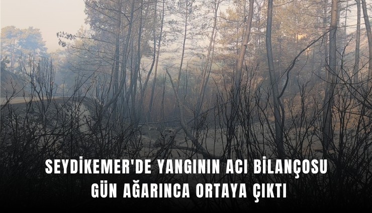 Seydikemer'de yangının acı bilançosu gün ağarınca ortaya çıktı