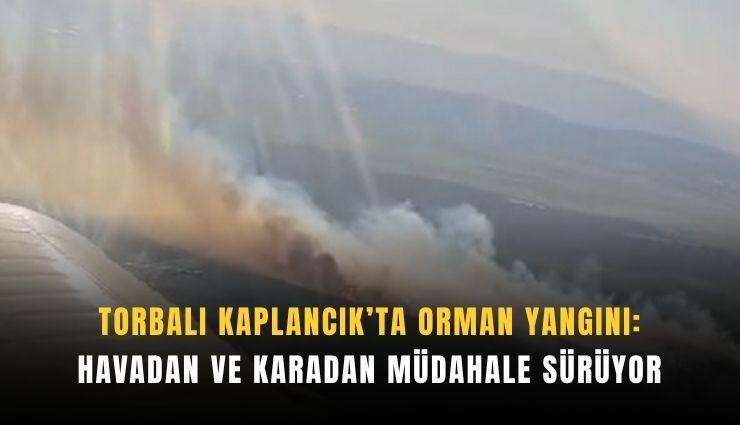 Torbalı Kaplancık’ta orman yangını