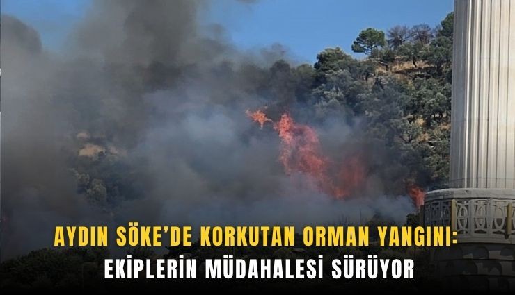 Aydın Söke’de korkutan orman yangını
