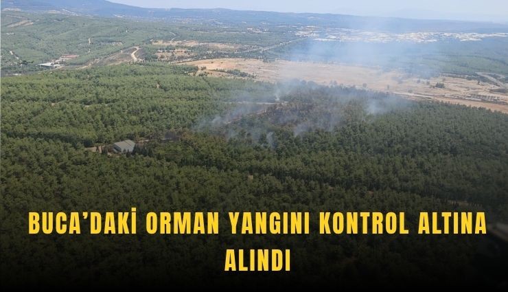 Buca’daki orman yangını kontrol altında