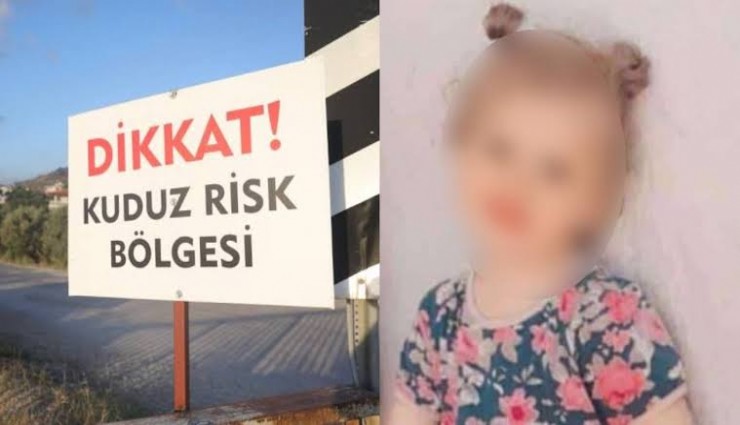 Diyarbakır'da kedi ısırdığı 4 yaşındaki çocuk kuduzdan hayatını kaybetti
