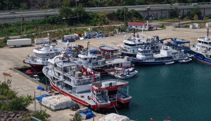 İşte balık fiyatlarının düşeceği tarih: Balıkçılar 
