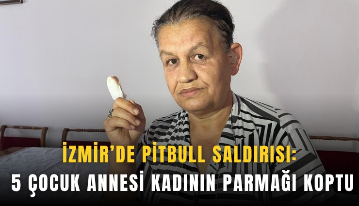 İzmir’de pitbull saldırısı: 5 çocuk annesi kadının parmağı koptu