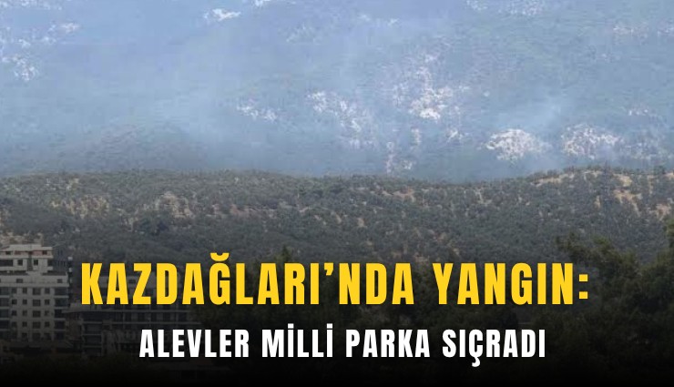 Kazdağları’nda yangın: Alevler milli parka sıçradı