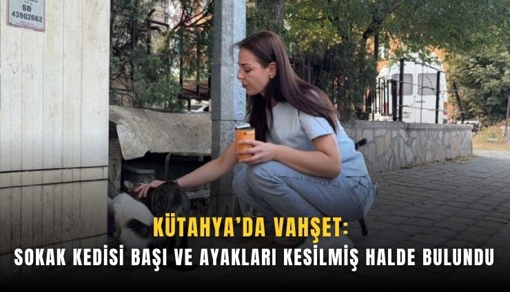 Kütahya’da vahşet: Sokak kedisi başı ve ayakları kesilmiş halde bulundu