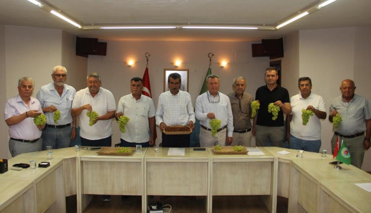 Manisa’da kuru üzümde hasat başladı: Üreticinin gözü taban fiyatta