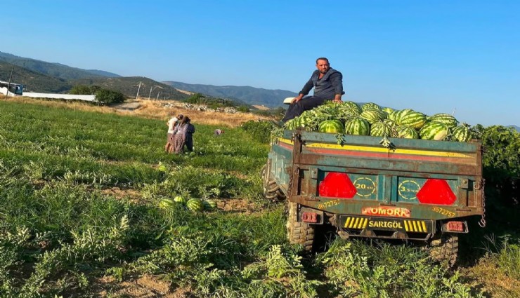 Manisa'da üreticiden tüketiciye: Kavun ve karpuzunu aracısız satıyor