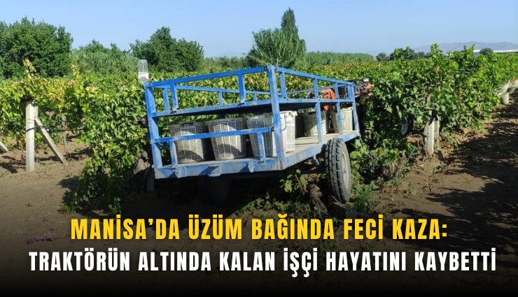 Manisa’da üzüm bağında feci kaza: Traktörün altında kalan işçi hayatını kaybetti
