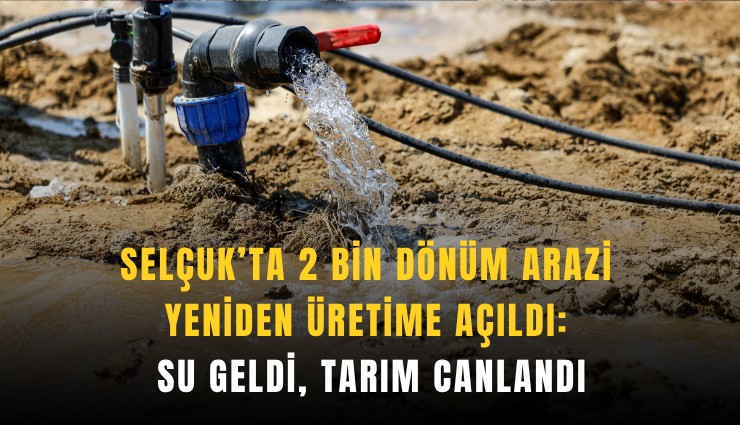 Selçuk’ta 2 bin dönüm arazi yeniden üretime açıldı: Su geldi, tarım canlandı