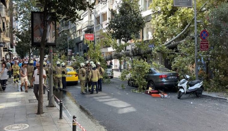 Şişli’de çınar ağacı iki aracın üzerine devrildi