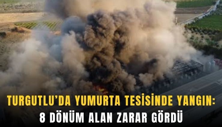 Turgutlu’da yumurta tesisinde yangın: 8 dönüm alan zarar gördü