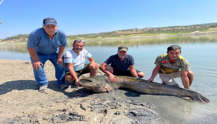 Baraj Gölü'nde 2 dev balık yakaladılar