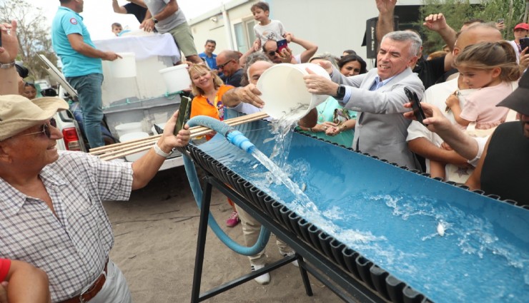 Bodrum'da balık festivali için geri sayım