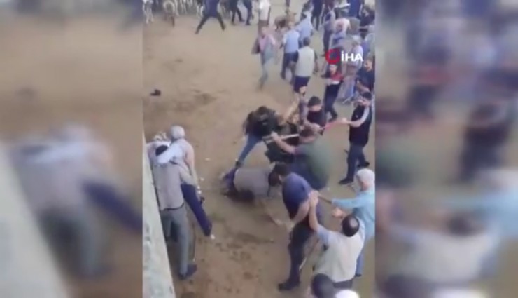 Diyarbakır'da canlı hayvan borsasında taşlı sopalı kavga: İşte o anlar