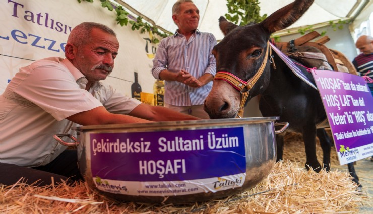 Eşeğe hoşaf içirdiler, ortaya renkli görüntüler çıktı