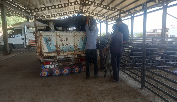 Gediz Belediyesi duyurdu: Hayvan pazarı artık pazartesi açılacak