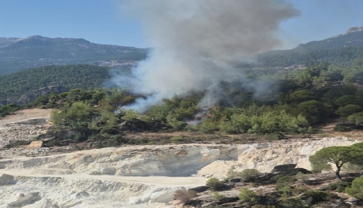 Muğla Milas'ta orman yangını alarmı
